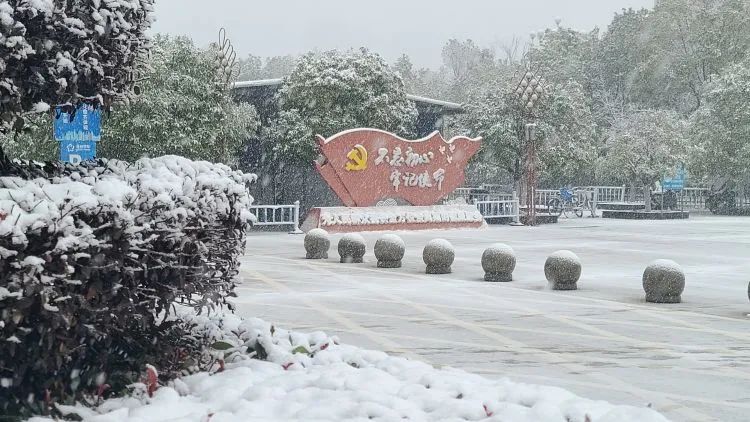 【闻“雪”而动】以雪为令齐行动 “医”路畅通护安全 【闻“雪”而动】以雪为令齐行动 “医”路畅通护安全