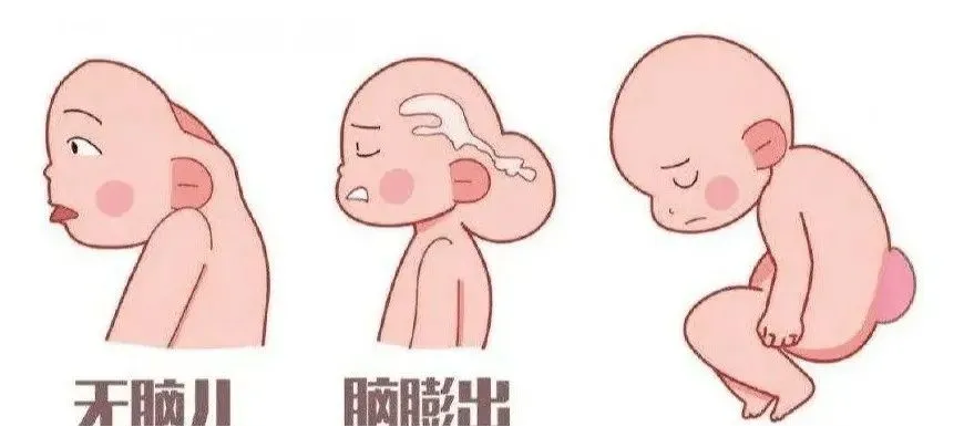 5月起,孕产妇、新生儿可在我院免费获得八项服务!! 5月起,孕产妇、新生儿可在我院免费获得八项服务!!