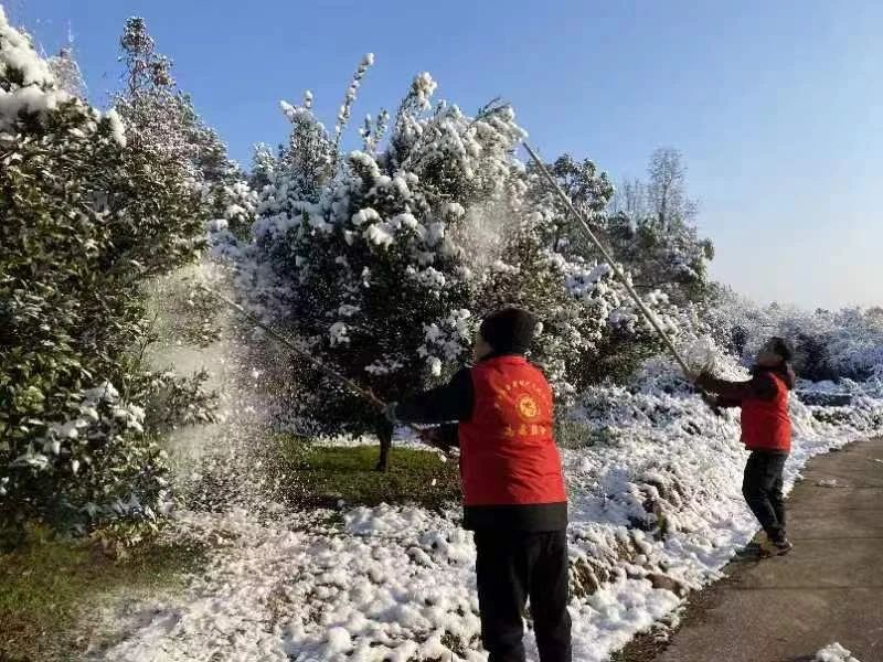 医院驻村工作队大雪里保畅通送温情 医院驻村工作队大雪里保畅通送温情
