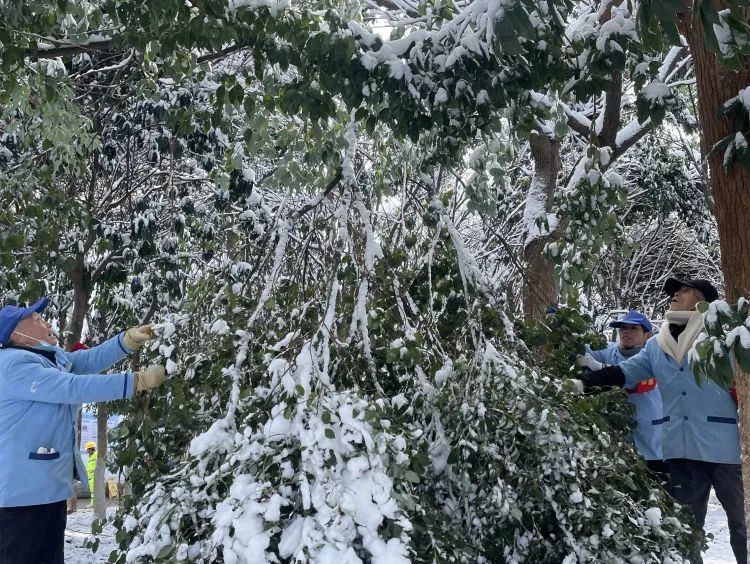 【闻“雪”而动】以雪为令齐行动 “医”路畅通护安全 【闻“雪”而动】以雪为令齐行动 “医”路畅通护安全