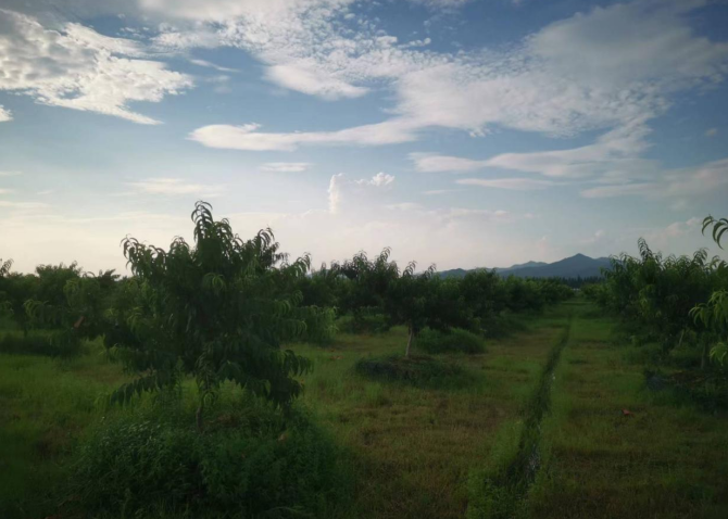 赞!我院驻村工作队在南城县基层理论宣讲大赛中获佳绩 赞!我院驻村工作队在南城县基层理论宣讲大赛中获佳绩