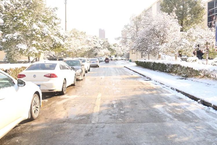 【闻“雪”而动】以雪为令齐行动 “医”路畅通护安全 【闻“雪”而动】以雪为令齐行动 “医”路畅通护安全